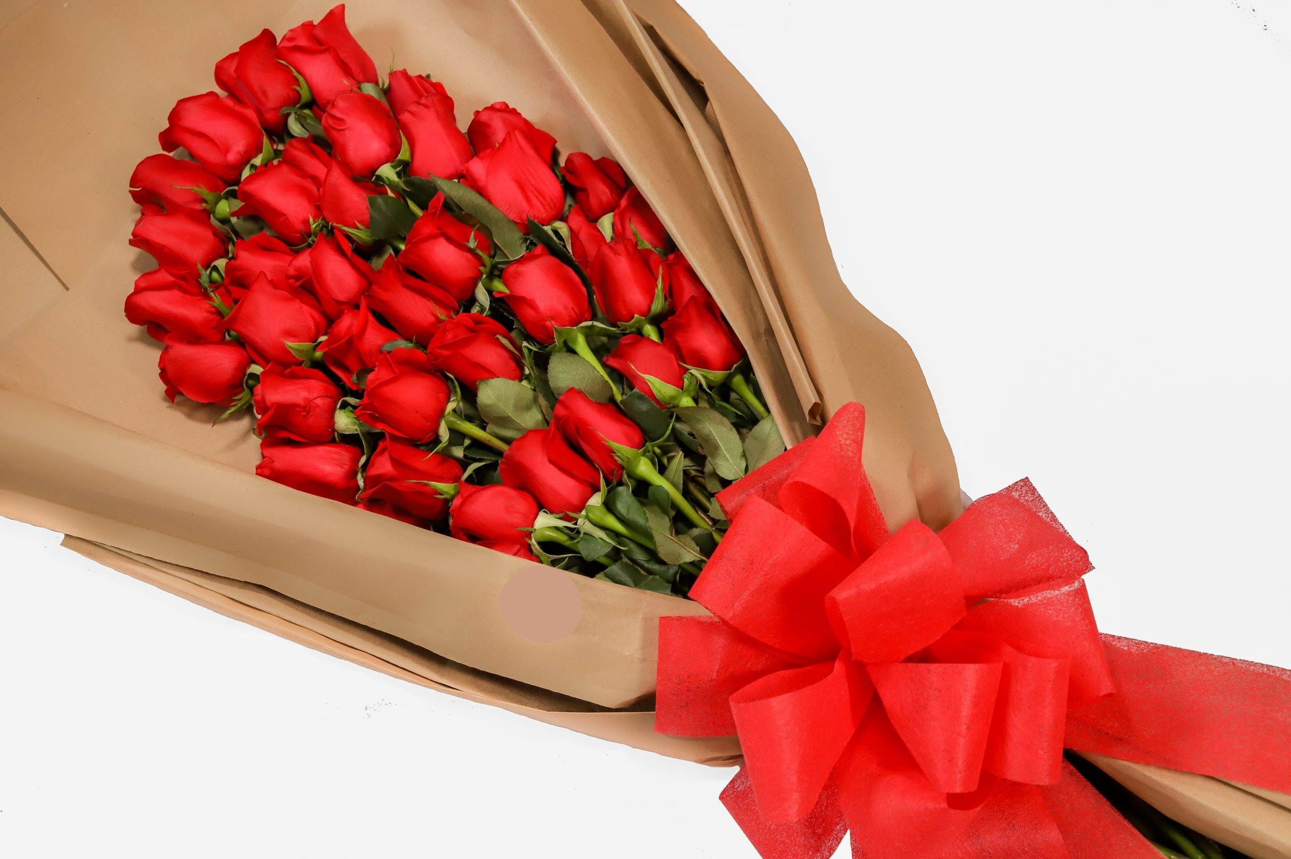 Envio y venta de flores ,rosas, plantas,arreglos florales ,regalos y desayunos a domicilio con delivery gratis en la Ciudad Autonoma de Buenos Aires y con costo de envo en localidades del Gran Buenos Aires asi como delivery de flores y plantas a travs de florerias asociadas en todas las provincias de la Argentina, Buenos Aires, la Pampa, Tucuman, La Rioja, Ro Negro, Entre Rios, Corrientes, Misiones, Neuquen, Chubut, Tierra del Fuego, Santa Cruz, San Luis, Mendoza, Cordoba, Jujuy, Formosa, Santiago del Estero, Salta, Chaco, Catamarca ,San Juan, y ademas realizamos el delivery de flores ,coronas,palmas , plantas y regalos a todas las ciudades de Argentina, Mar del Plata, Crdoba, Buenos Aires, con cargo en Santa Rosa, La Plata, Bella Vista, Neuquen, Pilar, Paran, Posadas, Resistencia, Cipolleti y mas de 300 ciudades y localidades en todo el territorio de nuestro pas, asi como tambien tenemos la posibilidad de enviar flores a casi todo el mundo en cuestion de horas